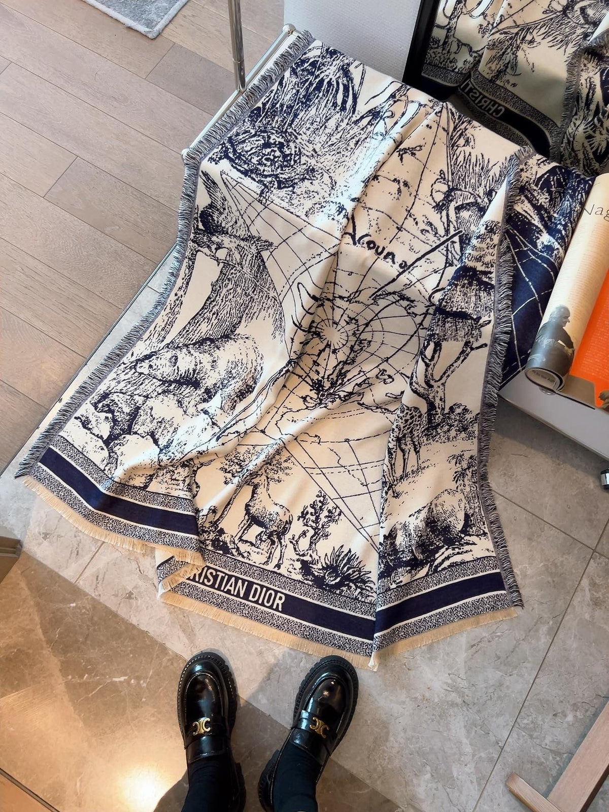 Dior Scenic Print Shawl — hero