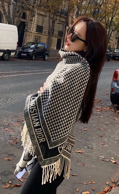 Dior Houndstooth Fringed Square Scarf & Shawl — model