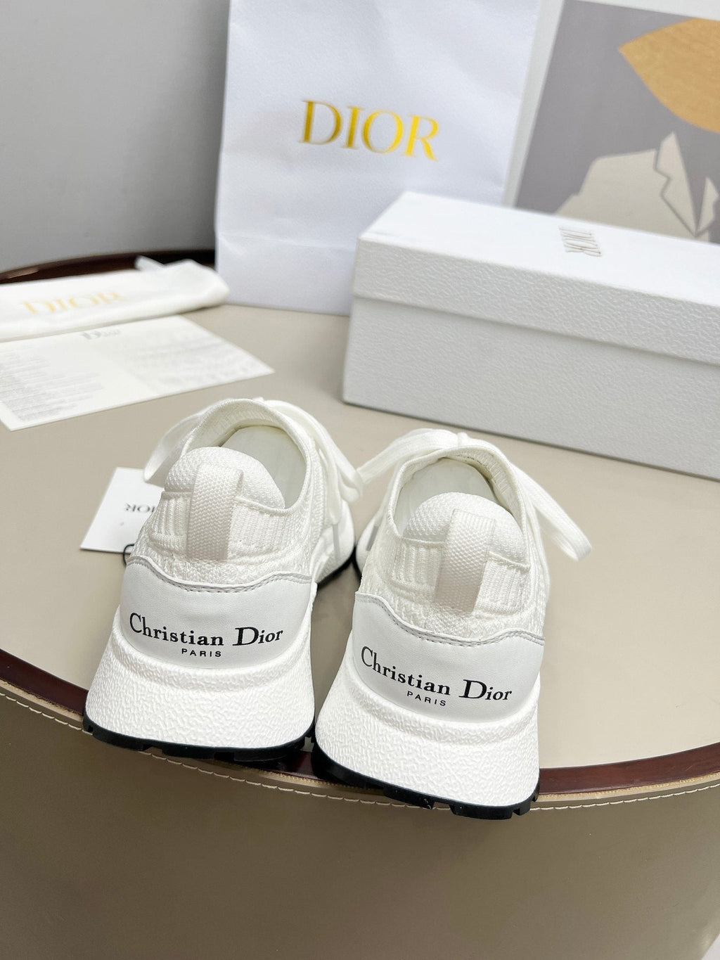 Dior Knit Lace-Up Sneakers — back